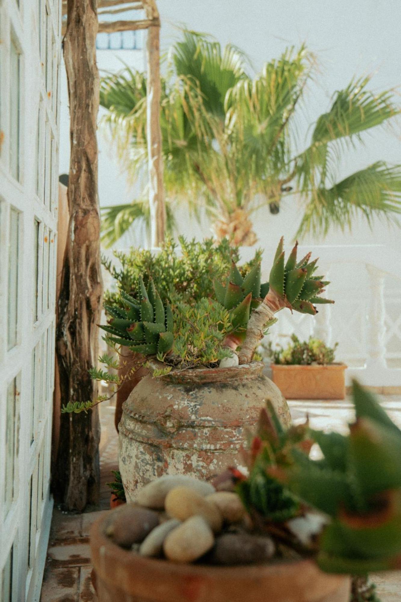 Riad Baladin Essaouira Buitenkant foto